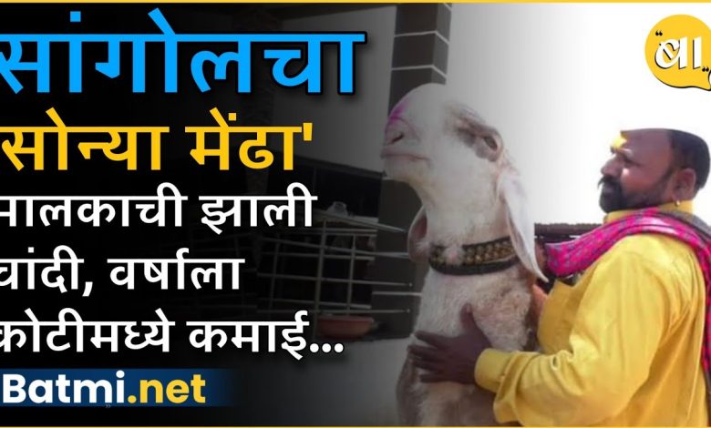 'Sonya' ram is earning crores of rupees a year, know why this ram is so popular?