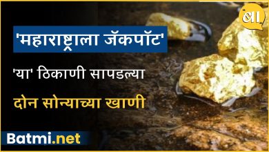 Where exactly are the gold mines announced by Chief Minister Eknath Shinde?